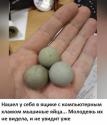 Прикрепленное изображение