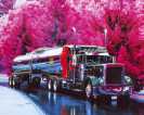 Грузовики: Peterbilt